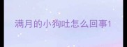 满月的小狗吐怎么回事