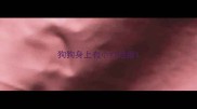 狗狗身上有小红疙瘩