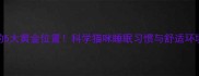 猫咪睡觉的5大黄金位置科学猫咪睡眠习惯与舒适环境打造指南