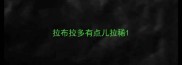 拉布拉多有点儿拉稀