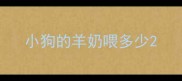 小狗的羊奶喂多少