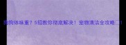 狗狗体味重5招教你彻底解决宠物清洁全攻略