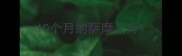 10个月的萨摩几斤