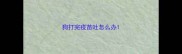 狗打完疫苗吐怎么办