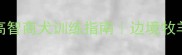 边牧训练全攻略3-6岁高智商犬训练指南边境牧羊犬行为矫正新手必看