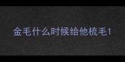 金毛什么时候给他梳毛