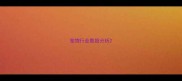 宠物行业数据分析
