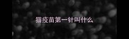 猫疫苗第一针叫什么