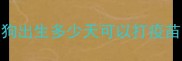 狗出生多少天可以打疫苗