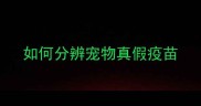 如何分辨宠物真假疫苗