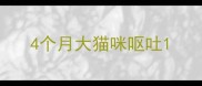 4个月大猫咪呕吐