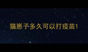 猫崽子多久可以打疫苗