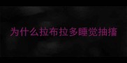为什么拉布拉多睡觉抽搐