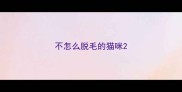 不怎么脱毛的猫咪