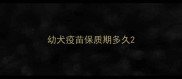 幼犬疫苗保质期多久