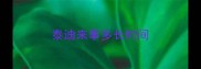 泰迪来事多长时间