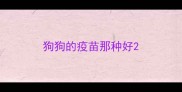 狗狗的疫苗那种好