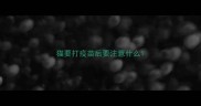 猫要打疫苗后要注意什么