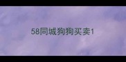 58同城狗狗买卖