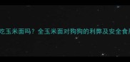 狗狗能吃玉米面吗全玉米面对狗狗的利弊及安全食用指南