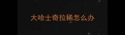 大哈士奇拉稀怎么办