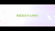 狗疫苗打什么样的