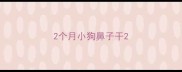 2个月小狗鼻子干