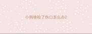 小狗被咬了伤口怎么办
