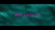 猫咪头上破了怎么办