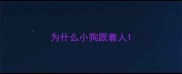 为什么小狗跟着人