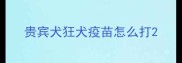 贵宾犬狂犬疫苗怎么打