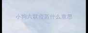 小狗六联疫苗什么意思