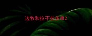 边牧和拉不拉多串