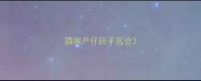 猫咪产仔后子宫会