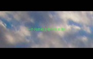 一个月的哈士奇不吃东狗