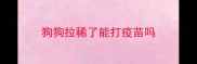 狗狗拉稀了能打疫苗吗