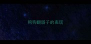 狗狗翻肠子的表现