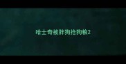 哈士奇被胖狗抢狗粮