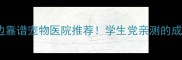 西南民族大学周边靠谱宠物医院推荐学生党亲测的成都萌宠健康指南