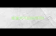 泰迪犬可以吃虾吗