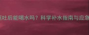 泰迪犬呕吐后能喝水吗科学补水指南与应急处理全