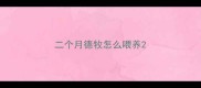 二个月德牧怎么喂养