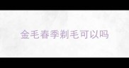 金毛春季剃毛可以吗