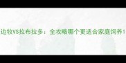 边牧VS拉布拉多全攻略哪个更适合家庭饲养