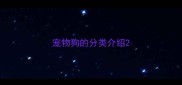 宠物狗的分类介绍