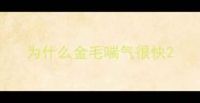 为什么金毛喘气很快