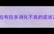 拉布拉多消化不良的症状