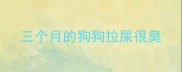 三个月的狗狗拉屎很臭