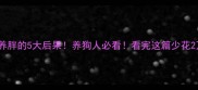 金毛养胖的5大后果养狗人必看看完这篇少花2万块
