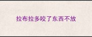 拉布拉多咬了东西不放